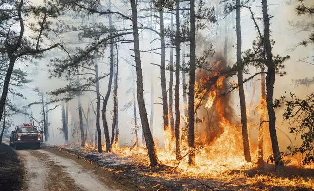 This Saturday, July 6, 2024 image provided by the New Jersey Department of Environmental Protection shows members of the New Jersey Forest Fire Service getting ready to battle a forest fire in Tabernacle, N.J. The fire had burned 4,000 acres and was 75% contained as of Monday July 8. (New Jersey Department of Environmental Protection via AP)