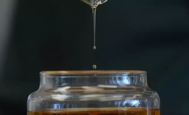 Ponova Oil is poured into a container at the Terviva headquarters in Alameda, Calif., Thursday, May 9, 2024. The oil, which is high in Omega 9 is made from the pongamia tree legume. The company has patented a process to remove the biopesticides from the pongamia tree legume that cause a bitter taste, making the bean suitable for food production. (AP Photo/Jeff Chiu)