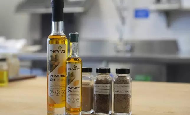 Bottles of Ponova Oil and other products made from the pongomia beans are shown at Terviva's headquarters in Alameda, Calif., Thursday, May 9, 2024. (AP Photo/Jeff Chiu)