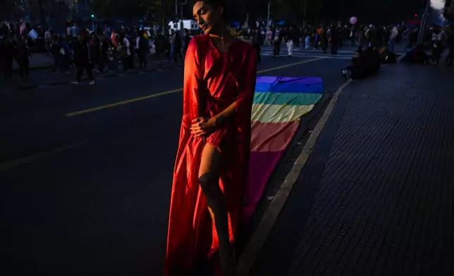 A reveler, who goes by the name Cat, strikes a pose during a Pride parade marking the culmination of LGBTQ+ Pride month, in Santiago, Chile, Saturday, June 29, 2024. (AP Photo/Esteban Felix)