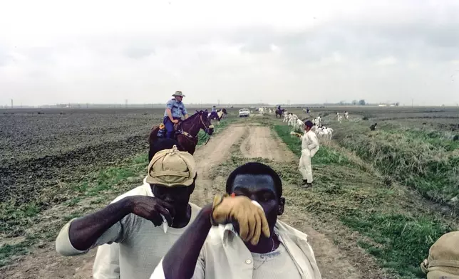 This 1974 photo shows prisoners at the Arkansas Department of Corrections Cummins Unit taking a water break while on work detail in the fields in Grady, Ark. As daily temperatures hit record highs across much of the South, a federal judge has taken an unusual step, challenging the treatment of mostly Black incarcerated workers in the fields. (Bruce Jackson via AP)