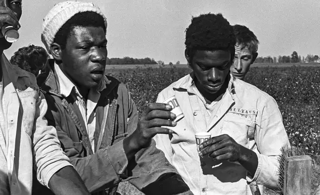 This 1975 photo shows prisoners at the Arkansas Department of Corrections Cummins Unit taking a water break while on work detail picking cotton in Grady, Ark. As daily temperatures hit record highs across much of the South, a federal judge has taken an unusual step, challenging the treatment of mostly Black incarcerated workers in the fields. (Bruce Jackson via AP)