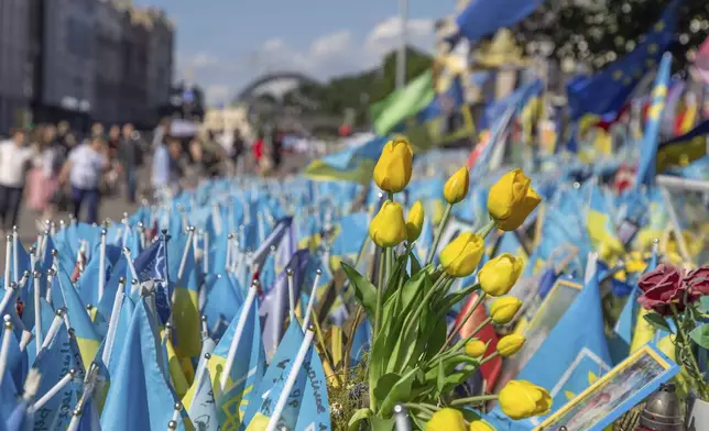 Tulips are placed among Ukrainian flags in memory of fallen fighters, in Kyiv, Ukraine, Tuesday, June 25, 2024. Despite hardships brought by war flowers fill Kyiv and other Ukrainian cities. They burst out of planters that line the capital's backroads and grand boulevards and are fixed to lampposts. (AP Photo/Anton Shtuka)