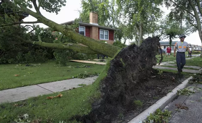 The roots of a large tree are seen on a lawn in Norridge, Ill., Tuesday, July 16, 2024. The tree was toppled as storms with reports of tornadoes blew through Iowa, Illinois and Indiana. (AP Photo/Teresa Crawford)