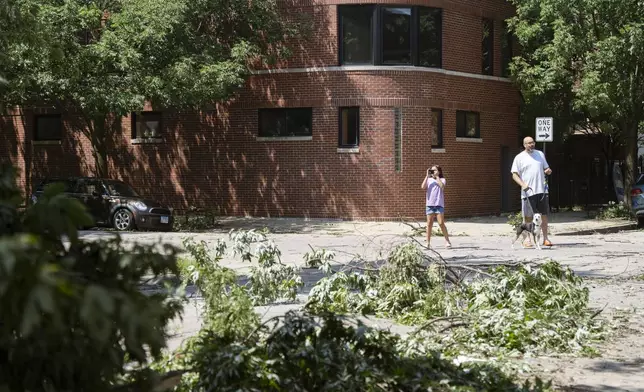 People take pictures of downed trees near the intersection of West Huron Street and North Hoyne Avenue in Chicago's West Town neighborhood, Tuesday, July 16, 2024, after severe storms passed through the Chicago area the night before. (Pat Nabong/Chicago Sun-Times via AP)