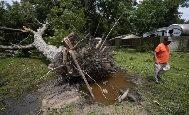 Desi Littleton assesses damages after a tree fell on his home after Hurricane Beryl hit the Texas coast, Monday, July 8, 2024, in Bay City, Texas. (AP Photo/Eric Gay)