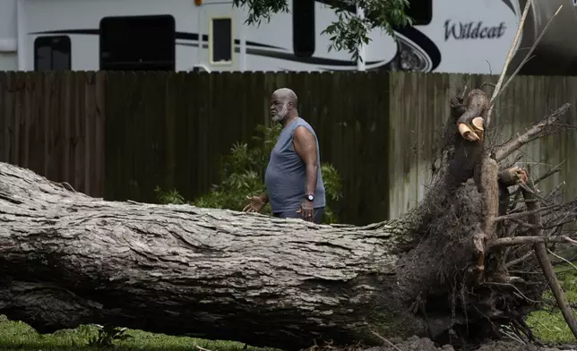 Hook Jefferson assesses damages after a tree fell on his neighbor's home after Hurricane Beryl hit the Texas coast, Monday, July 8, 2024, in Bay City, Texas. (AP Photo/Eric Gay)