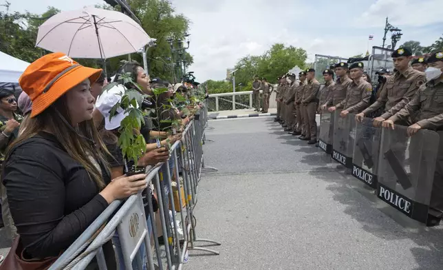 Cannabis activists and entrepreneurs, hold cannabis plant as they gather in front of Government House in Bangkok, Thailand, Monday, July 8, 2024. Two years after marijuana was decriminalized in Thailand, nearly a hundred of its advocates marched to the prime minister’s office Monday to protest a possible ban on general use. (AP Photo/Sakchai Lalit)