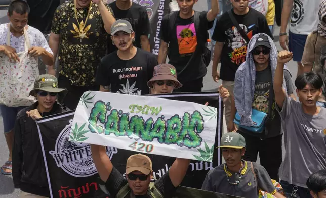 Cannabis activists and entrepreneurs, march to Government House in Bangkok, Thailand, Monday, July 8, 2024. Two years after marijuana was decriminalized in Thailand, nearly a hundred of its advocates marched to the prime minister’s office Monday to protest a possible ban on general use. (AP Photo/Sakchai Lalit)