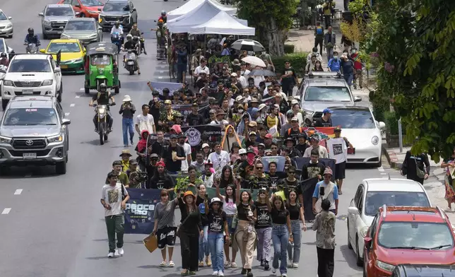 Cannabis activists and entrepreneurs, holding cannabis plant march to Government House in Bangkok, Thailand, Monday, July 8, 2024. Two years after marijuana was decriminalized in Thailand, nearly a hundred of its advocates marched to the prime minister’s office Monday to protest a possible ban on general use. (AP Photo/Sakchai Lalit)