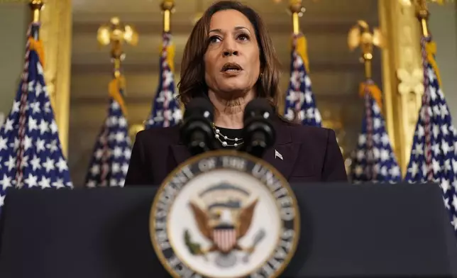 Vice President Kamala Harris speaks following a meeting with Israeli Prime Minister Benjamin Netanyahu at the Eisenhower Executive Office Building on the White House complex in Washington, Thursday, July 25, 2024. (AP Photo/Julia Nikhinson)