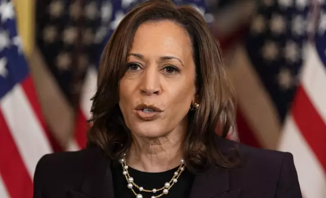 Vice President Kamala Harris speaks following a meeting with Israeli Prime Minister Benjamin Netanyahu at the Eisenhower Executive Office Building on the White House complex in Washington, Thursday, July 25, 2024. (AP Photo/Julia Nikhinson)