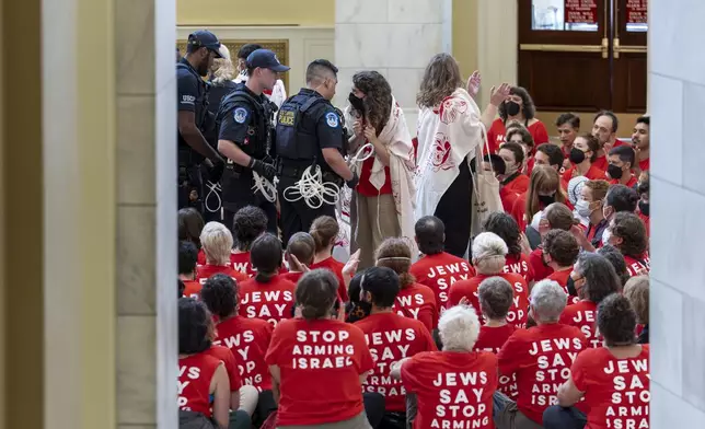 Demonstrators protest against the military policies of Israel a day before a visit by Israeli Prime Minister Netanyahu who will address a joint meeting of Congress on Wednesday, in the Cannon House Office Building at the Capitol in Washington, Tuesday, July 23, 2024. (AP Photo/J. Scott Applewhite)