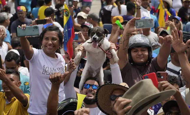 A supporter of opposition presidential candidate Edmundo Gonzalez holds up his dog during a campaign rally in Valencia, Venezuela, Saturday, July 13, 2024. Venezuela is set to hold its presidential election on July 28. (AP Photo/Ariana Cubillos)