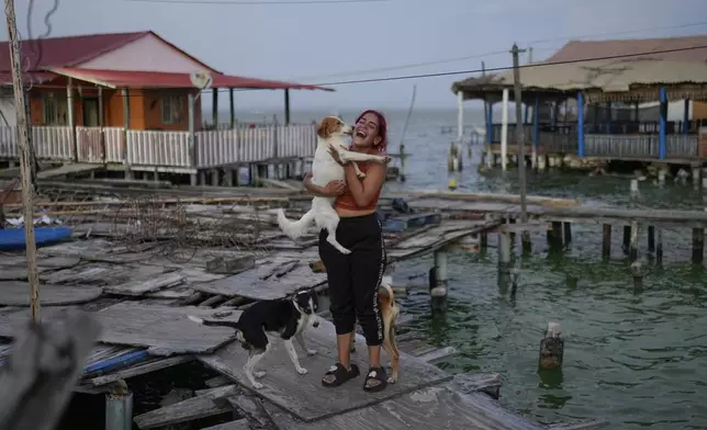 A woman plays with her dogs in the Santa Rosa de Agua neighborhood of Maracaibo, Venezuela, Monday, July 22, 2024. The country's presidential election is set for July 28. (AP Photo/Matias Delacroix)