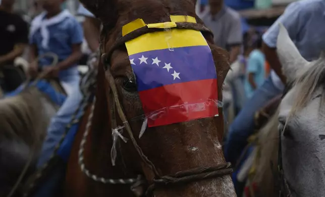 A horse is adorned with a paper national flag during a campaign rally for opposition presidential candidate Edmundo Gonzalez, in Barinas, Venezuela, Saturday, July 6, 2024. Venezuela is set to hold a presidential election on July 28. (AP Photo/Ariana Cubillos)