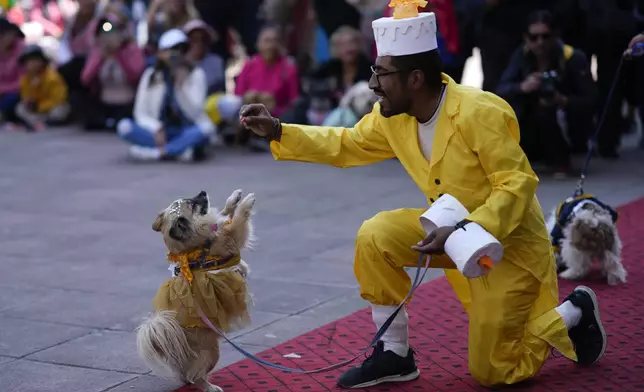 A man dressed as a cake plays with his dog during a costume contest celebrating the feast day of Saint Roch, the patron saint of dogs, in La Paz, Bolivia, Sunday, Aug. 18, 2024. (AP Photo/Juan Karita)