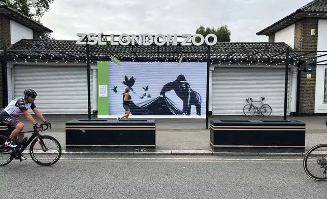 People pass a reproduction of a Banksy mural outside the London Zoo, Sunday, Aug. 18, 2024. The London Zoo has removed Banksy's gorilla mural from its entrance gate. The painting was the final animal-themed work by the street artist that appeared over nine consecutive days in London. (AP Photo/Brian Melley)