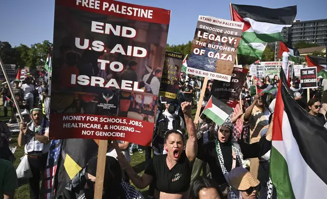 Protesters rally at a demonstration in Union Park during the Democratic National Convention Wednesday, Aug. 21, 2024, in Chicago. (AP Photo/Noah Berger)