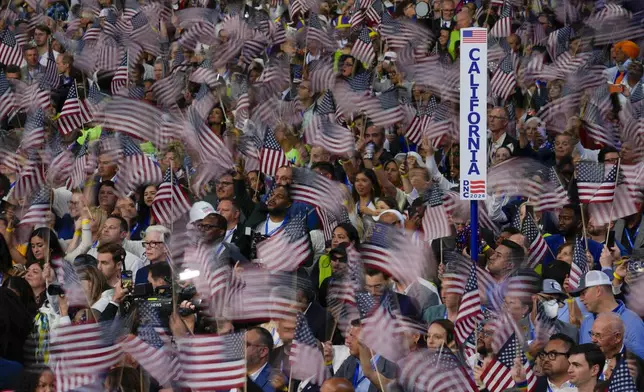 Supporters wave flags during the Democratic National Convention Thursday, Aug. 22, 2024, in Chicago. (AP Photo/Matt Rourke)