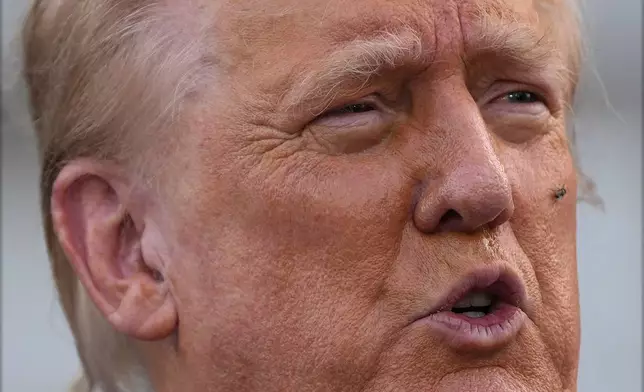 A fly lands on the face of Republican presidential nominee former President Donald Trump as he speaks at a news conference at Trump National Golf Club in Bedminster, N.J., Thursday, Aug. 15, 2024. (AP Photo/Julia Nikhinson)