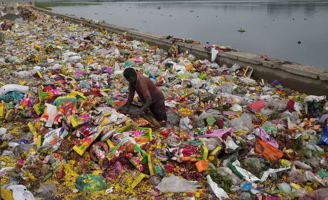 A man searches for reusable material amid offerings and idols of Hindu goddess Dashama left by devotees on the banks of River Sabarmati after the end of the ten-days long Dashama festival in Ahmedabad, India, Wednesday, Aug. 14, 2024. (AP Photo/Ajit Solanki)