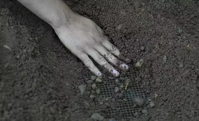 A student sifts through dirt for artifacts while working at the site of an African burial ground in Kingston, N.Y., Monday, Aug. 5, 2024. (AP Photo/Seth Wenig)