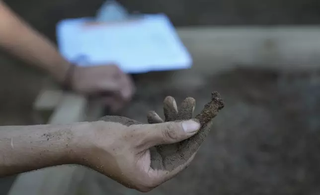 A student holds up what is likely a coffin nail found at an ongoing excavation at the site of an African burial ground in Kingston, N.Y., Monday, Aug. 5, 2024. (AP Photo/Seth Wenig)