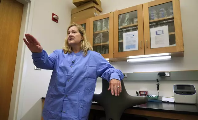 Amy Baker speaks in a lab at the National Animal Disease Center in Ames, Iowa, on Wednesday, Aug. 7, 2024. In addition to vaccines, she and other researchers also have been working on studies in which they try to see how the virus spreads between cows. (AP Photo/Charlie Neibergall)