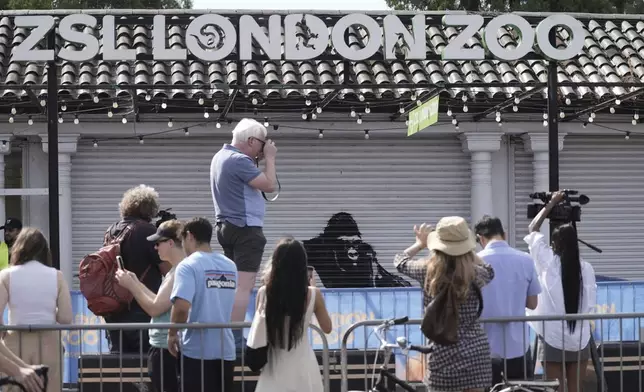 People take pictures of a new mural by elusive street artist Banksy at the London Zoo, Tuesday, Aug. 13, 2024, in London. (Stefan Rousseau/PA via AP)