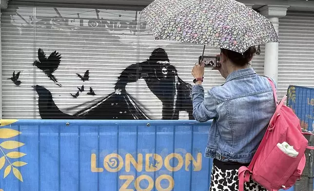 A woman photographs a mural by the elusive street artist Banksy at the entrance to the London Zoo, Wednesday, Aug. 14, 2024. The elusive street artist's recent works that appeared all over London on nine consecutive days apparently came to a conclusion after a final mural surprised staff who arrived early Tuesday to feed the animals at the London Zoo. (AP Photo/Brian Melley)