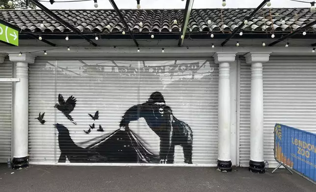 A mural by the elusive street artist Banksy is seen at the entrance to the London Zoo, Wednesday, Aug. 14, 2024. (AP Photo/Brian Melley)