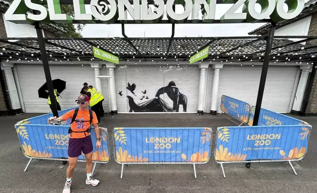 A man snaps a selfie with a mural by the elusive street artist Banksy at the entrance to the London Zoo, Wednesday, Aug. 14, 2024. The elusive street artist's recent works that appeared all over London on nine consecutive days apparently came to a conclusion after a final mural surprised staff who arrived early Tuesday to feed the animals at the London Zoo. (AP Photo/Brian Melley)