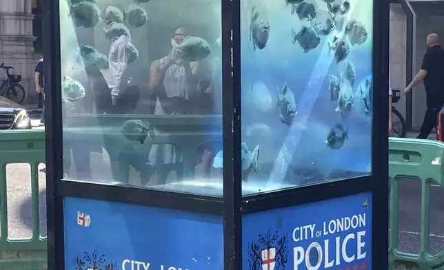 A new design of swimming fish by Banksy, which appeared on a police box in the City of London is cordoned off, in London, Monday Aug. 12, 2024. (Emily Pennink/PA via AP)