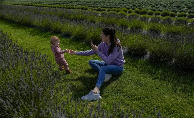 Jessica Froll, right, of Arthur, Ontario, takes a picture of her 1-year-old daughter duirng a visit to a lavender field, Wednesday, Aug. 21, 2024, in East Garafraxa, Ontario. (AP Photo/Joshua A. Bickel)