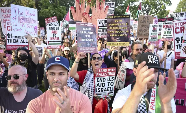 Protesters watch during a demonstration near the Democratic National Convention Thursday, Aug. 22, 2024, in Chicago. (AP Photo/Noah Berger)