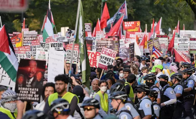 Protesters march during a demonstration near the Democratic National Convention Thursday, Aug. 22, 2024, in Chicago. (AP Photo/Alex Brandon)