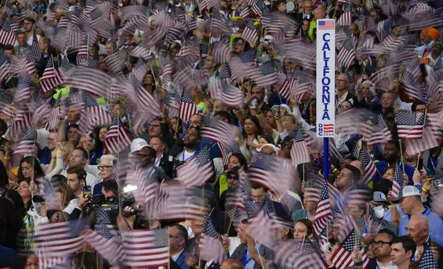 Supporters wave flags during the Democratic National Convention Thursday, Aug. 22, 2024, in Chicago. (AP Photo/Matt Rourke)