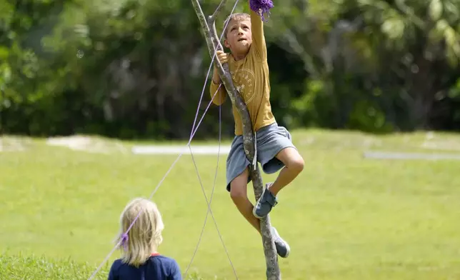 Henry Cedroni, center, 6, climbs a tree as Dylan Wickham, left, 6, looks on as they help put up yarn as demonstrators outline the area a pickleball court would occupy, during a protest against Gov. Ron DeSantis' plan to develop state parks with business ventures such as golf courses, pickleball courts and large hotels, during a demonstration at Oleta River State Park, Tuesday, Aug. 27, 2024, in North Miami Beach, Fla. (AP Photo/Wilfredo Lee)