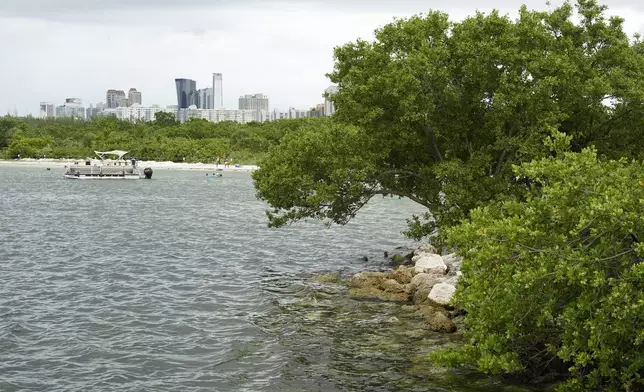 A boat docks near the beach at Oleta River State Park, Thursday, Aug. 22, 2024, in North Miami Beach, Fla. (AP Photo/Marta Lavandier)