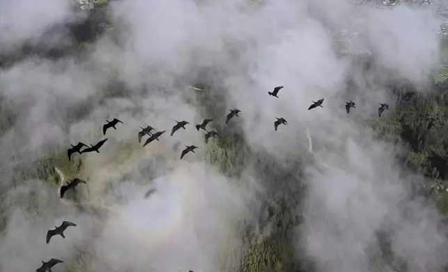 This photo provide by Waldrappteam Conservation &amp; Research shows the migration from Northern Bald Ibis, or the Waldrapp from Seekirchen am Wallersee in Austria to Oasi Laguna di Orbetello in Italy during August and September 2022. (Waldrappteam Conservation &amp; Research via AP)