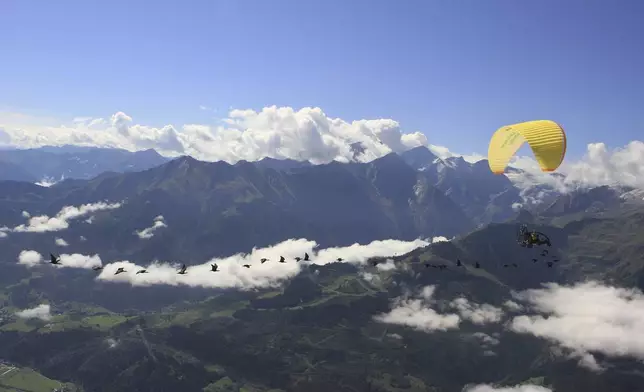 This photo provide by Waldrappteam Conservation &amp; Research shows the migration from Northern Bald Ibis, or the Waldrapp, supported by foster parents of the birds in a microlight aircraft, waving and shouting encouragement through a bullhorn as it flies through the air from Seekirchen am Wallersee in Austria to Oasi Laguna di Orbetello in Italy during August and September 2022. (Waldrappteam Conservation &amp; Research via AP)