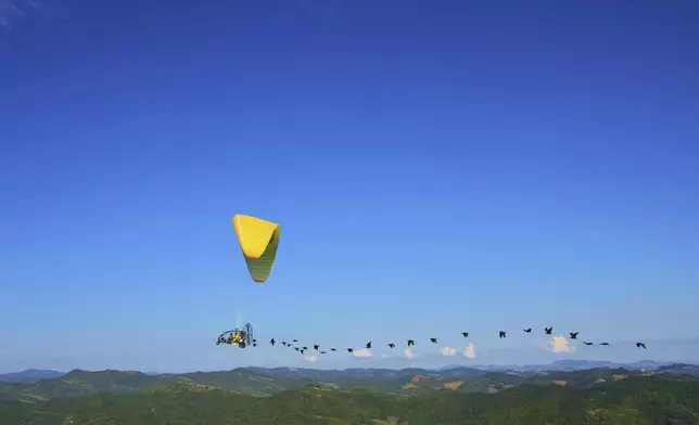 This photo provide by Waldrappteam Conservation &amp; Research shows the migration from Northern Bald Ibis, or the Waldrapp, supported by foster parents of the birds in a microlight aircraft, waving and shouting encouragement through a bullhorn as it flies through the air from Seekirchen am Wallersee in Austria to Oasi Laguna di Orbetello in Italy during August and September 2022. (Waldrappteam Conservation &amp; Research via AP)