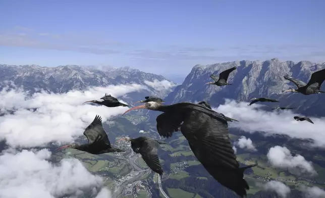 This photo provide by Waldrappteam Conservation &amp; Research shows the migration from Northern Bald Ibis, or the Waldrapp from Seekirchen am Wallersee in Austria to Oasi Laguna di Orbetello in Italy during August and September 2022. (Waldrappteam Conservation &amp; Research via AP)