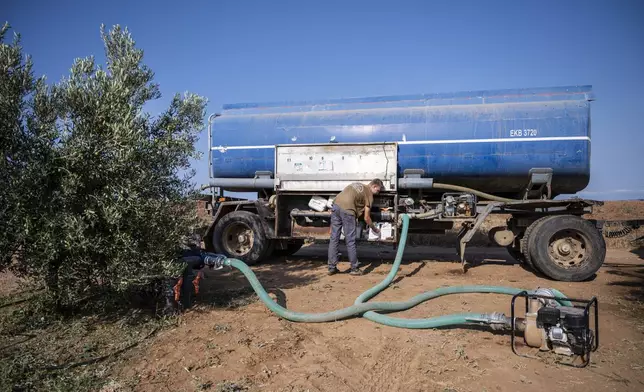 Dimitris Papadakis Jr, turns the valve on a container that is connected to a small generator, to water an olive grove in the village of Nea Silata at Halkidiki peninsula, northern Greece, Aug. 19, 2024. A severe drought in northern Greece, worsened by successive heatwaves and low rainfall, is causing water shortages that are threatening agriculture, drying up lakes, and stressing local communities dependent on tourism. (AP Photo/Giannis Papanikos)