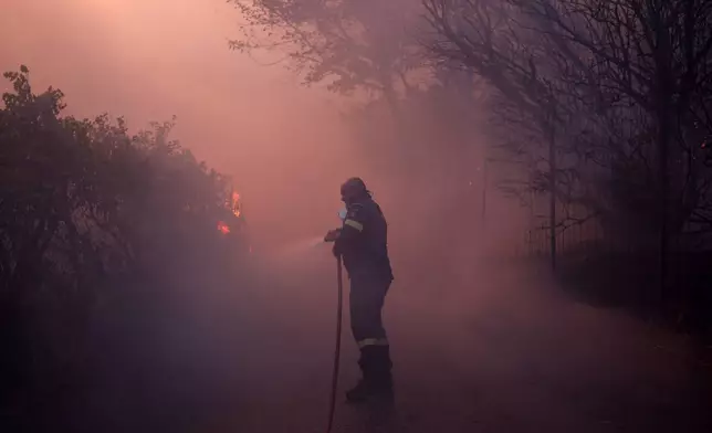 A firefighter tries to extinguish the flames on the trees during a fire in northern Athens, Monday, Aug. 12, 2024, as hundreds of firefighters tackle a major wildfire raging out of control on fringes of Greek capital. (AP Photo/Aggelos Barai)