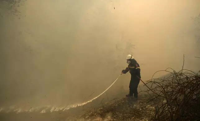 A firefighter tries to extinguish a fire in northern Athens, Monday, Aug. 12, 2024, as hundreds of firefighters tackle a major wildfire raging out of control on fringes of Greek capital. (AP Photo/Michael Varaklas)