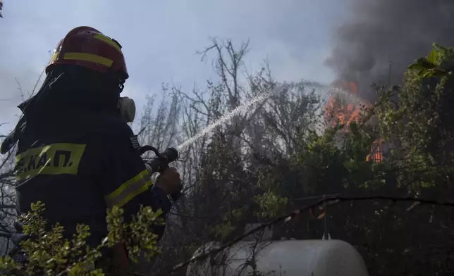 A firefighter sprays water with a hose in Varnava village during a wildfire, north of Athens, Greece, Sunday, Aug. 11, 2024, with many regions of the country on high alert due to high temperatures and wind speeds. (AP Photo/Michael Varaklas)