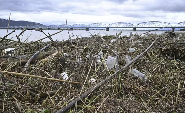 Flood debris is seen piled on the bank of the Yoshino river in Tokushima, southern Japan, Saturday, Aug. 31, 2024, following a tropical storm in the area. (Yusuke Hashizume/Kyodo News via AP)