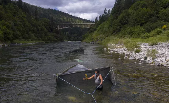 FILE - Gilbert Myers takes a water temperature reading at a chinook salmon trap in the lower Klamath River in California on June 8, 2021. (AP Photo/Nathan Howard, File)